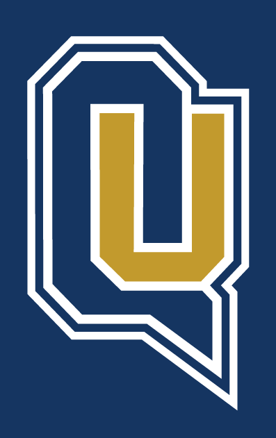 Quinnipiac Bobcats 2002-Pres Alternate Logo v5 iron on transfers for clothing